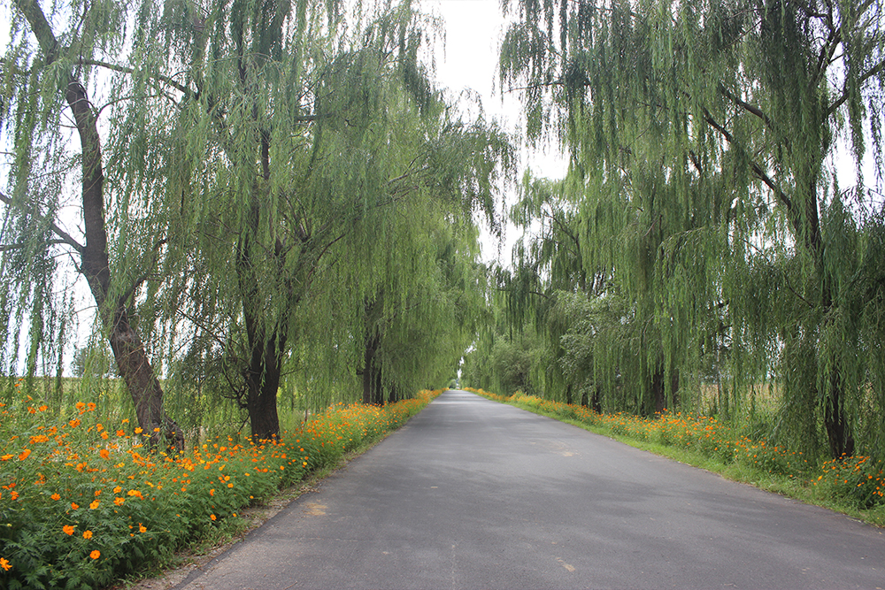 基地风貌